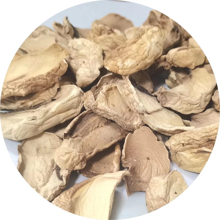 AD Champignon Mushroom